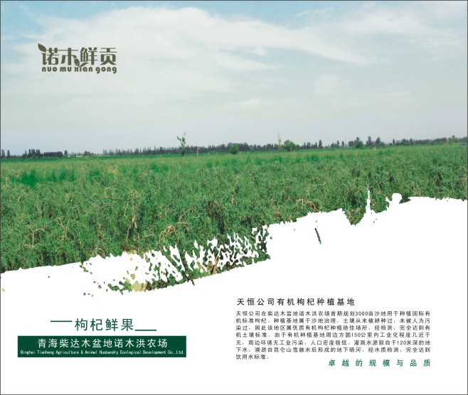 &#24320;&#20113;&#25163;&#26426;&#31449;&#30331;&#24405;&#20837;&#21475;&#45;&#24320;&#20113;&#111;&#110;&#108;&#105;&#110;&#101;&#40;&#20013;&#22269;&#41;