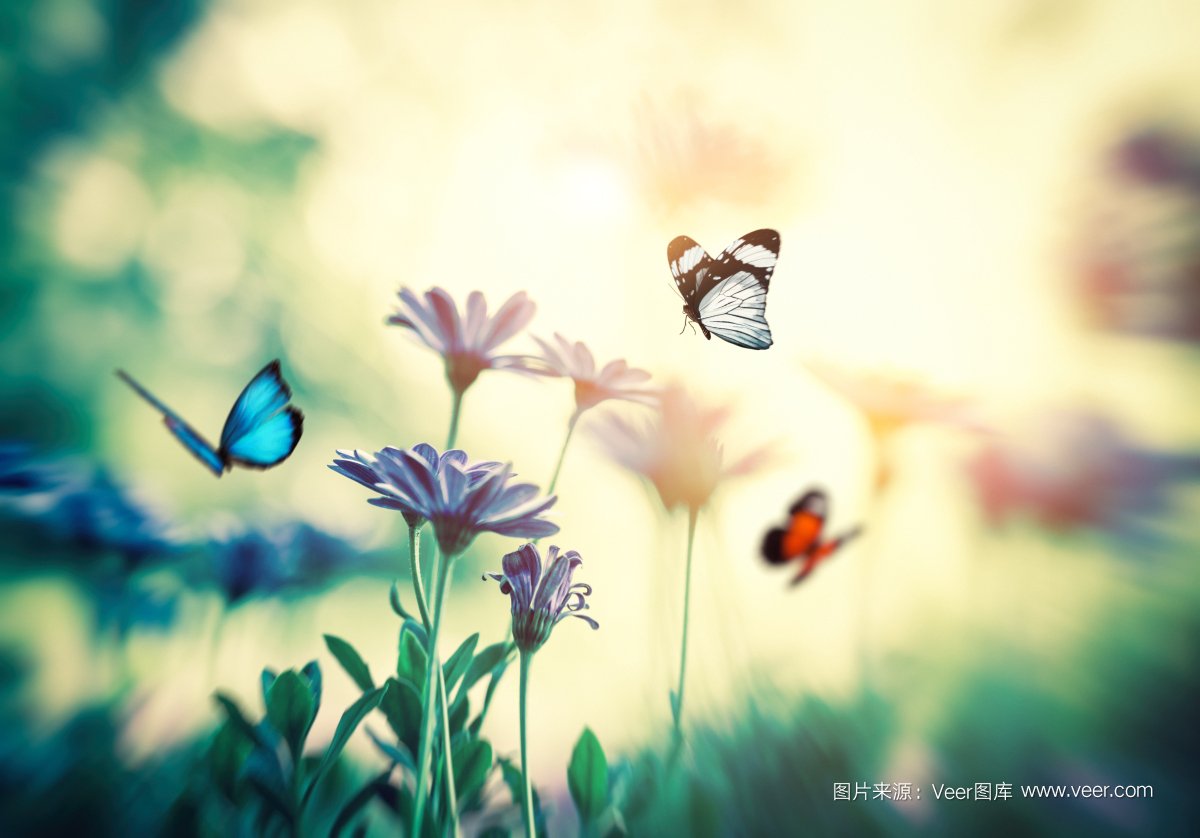 Veer开启版(bǎn)权图片(piàn)订阅模式(shì),低至(zhì)3元/张! 开云手机站登录入口-开云online(中国)